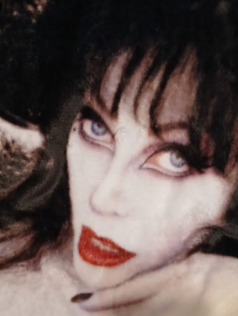 Elvira mistress of the dark elvira mistress
